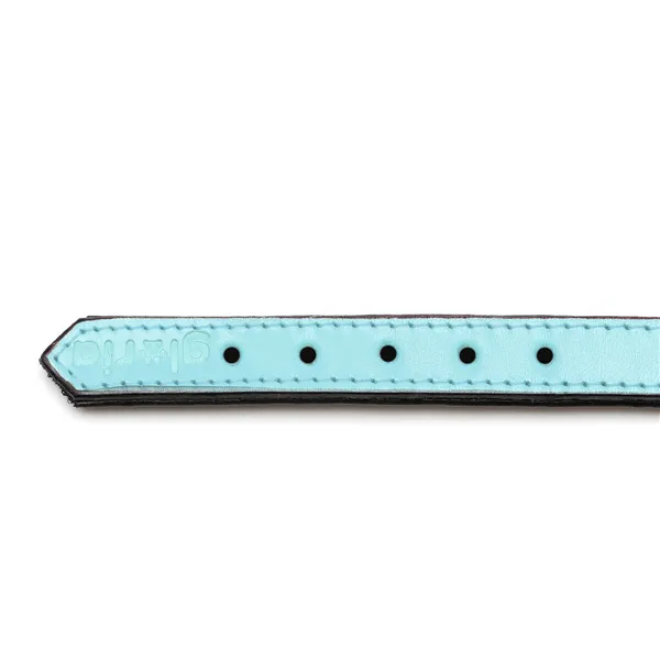 Dog collar Gloria 30 cm Padded Leather Blue