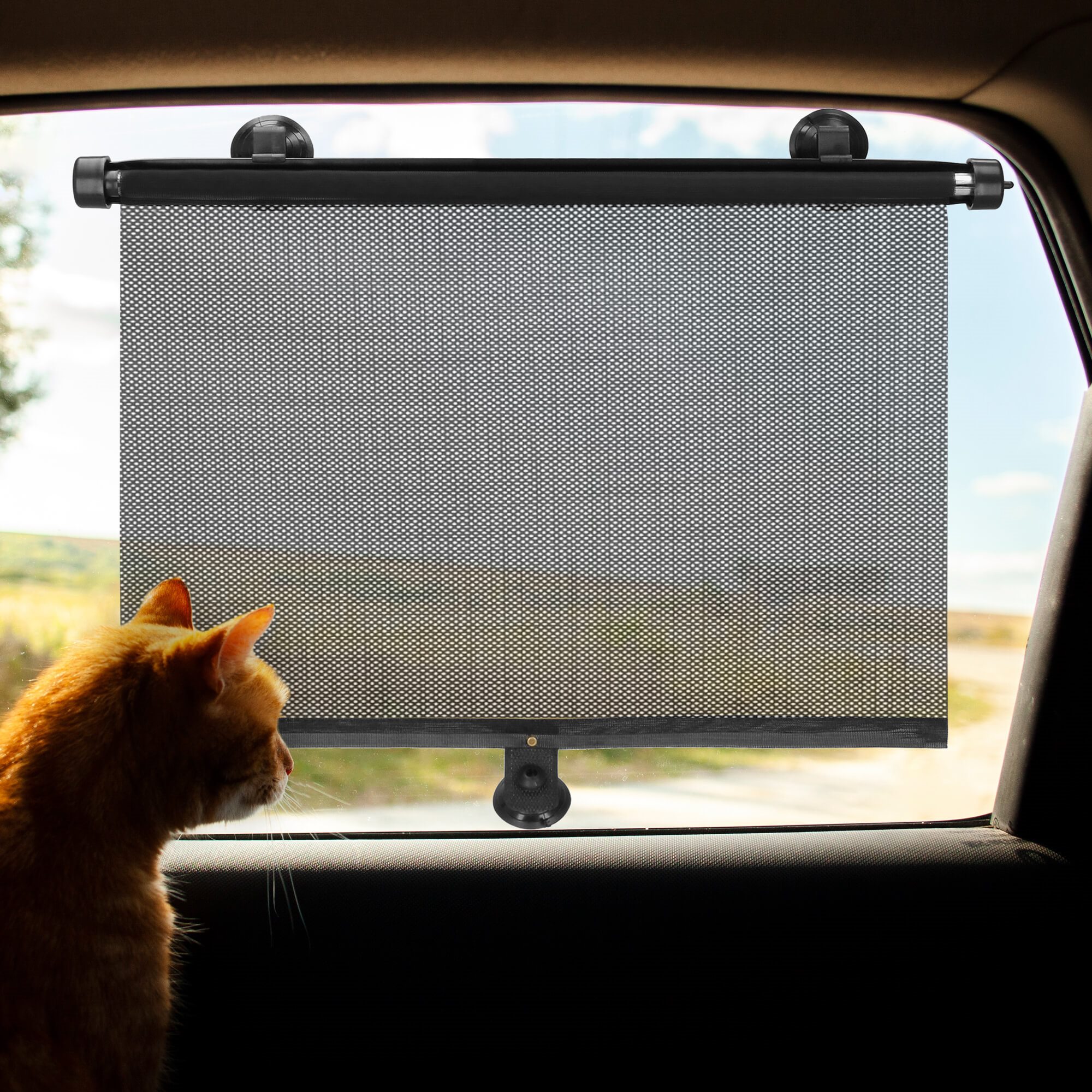 Sun visor for car Springos CA0957 2 pcs. | Buy online — Megaluks