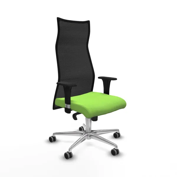 Office Chair Albacete Piqueras y Crespo B1C086G Pistachio