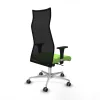 Office Chair Albacete Piqueras y Crespo B1C086G Pistachio