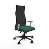 Office Chair Albacete Piqueras y Crespo B1B036N Green