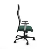 Office Chair Albacete Piqueras y Crespo B1B036N Green