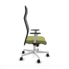 Office Chair Albacete Piqueras y Crespo B1B026N Green