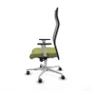 Office Chair Albacete Piqueras y Crespo B1B086G Green