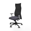 Office Chair Albacete Piqueras y Crespo B1B036G Dark grey