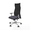 Office Chair Albacete Piqueras y Crespo B1B086G Dark grey
