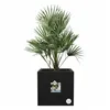 Plant pot Elho Black Ø 29 cm Plastic Squared Modern