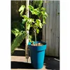 Plant pot Riss 53 cm Blue Plastic