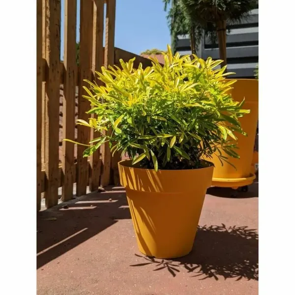 Lillepott Riviera kollane Ø 60 cm