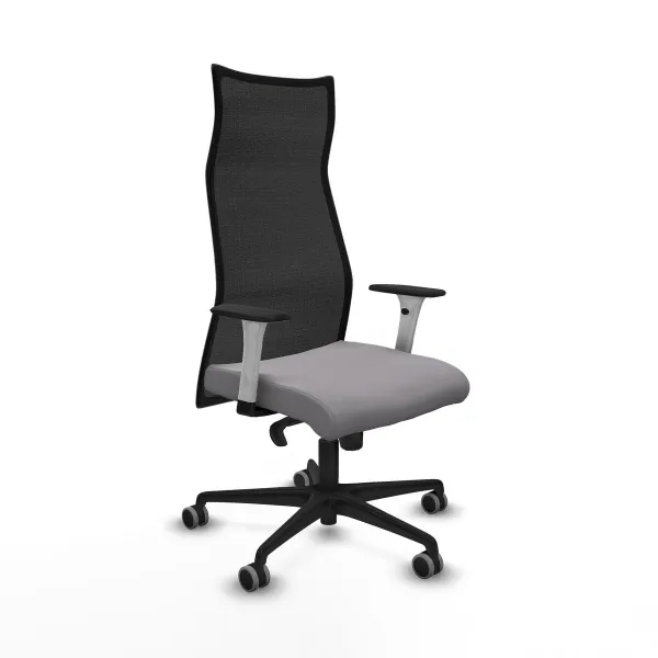 Biuro kėdė Piqueras y Crespo B1B036G Pilka