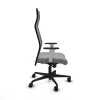 Office Chair Piqueras y Crespo B1B036N Grey