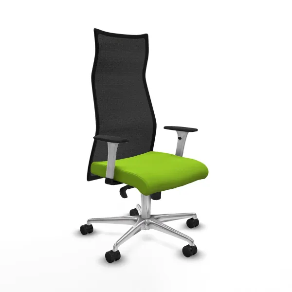 Office Chair Albacete Piqueras y Crespo B1B086N Pistachio