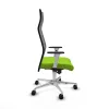 Office Chair Albacete Piqueras y Crespo B1B086N Pistachio