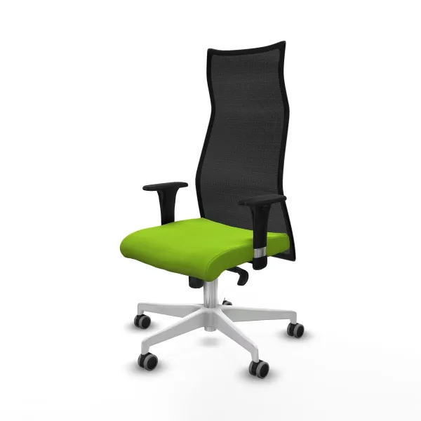 Office Chair Albacete Piqueras y Crespo B1C026G Pistachio