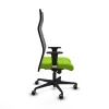 Office Chair Albacete Piqueras y Crespo B1C036G Pistachio