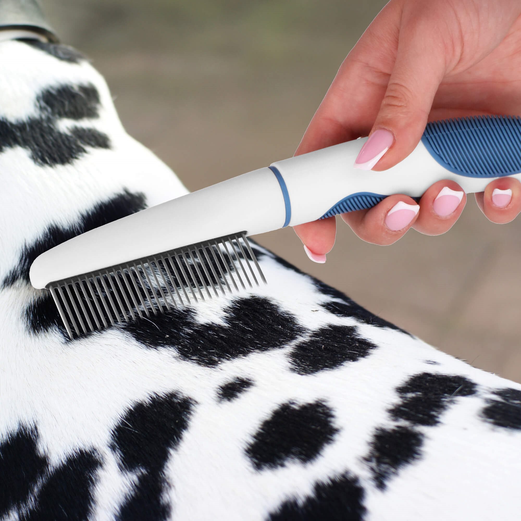 Cat comb Springos PA0263 22.5 cm