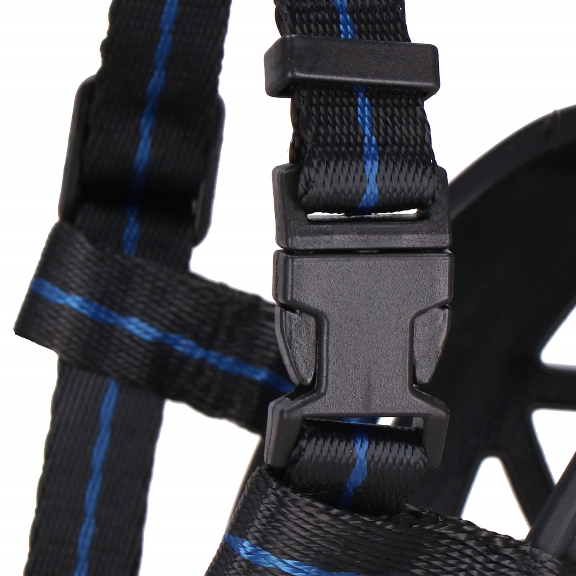 Koera koon Springos PA0267 suurus S | Osta veebist — Megaluks