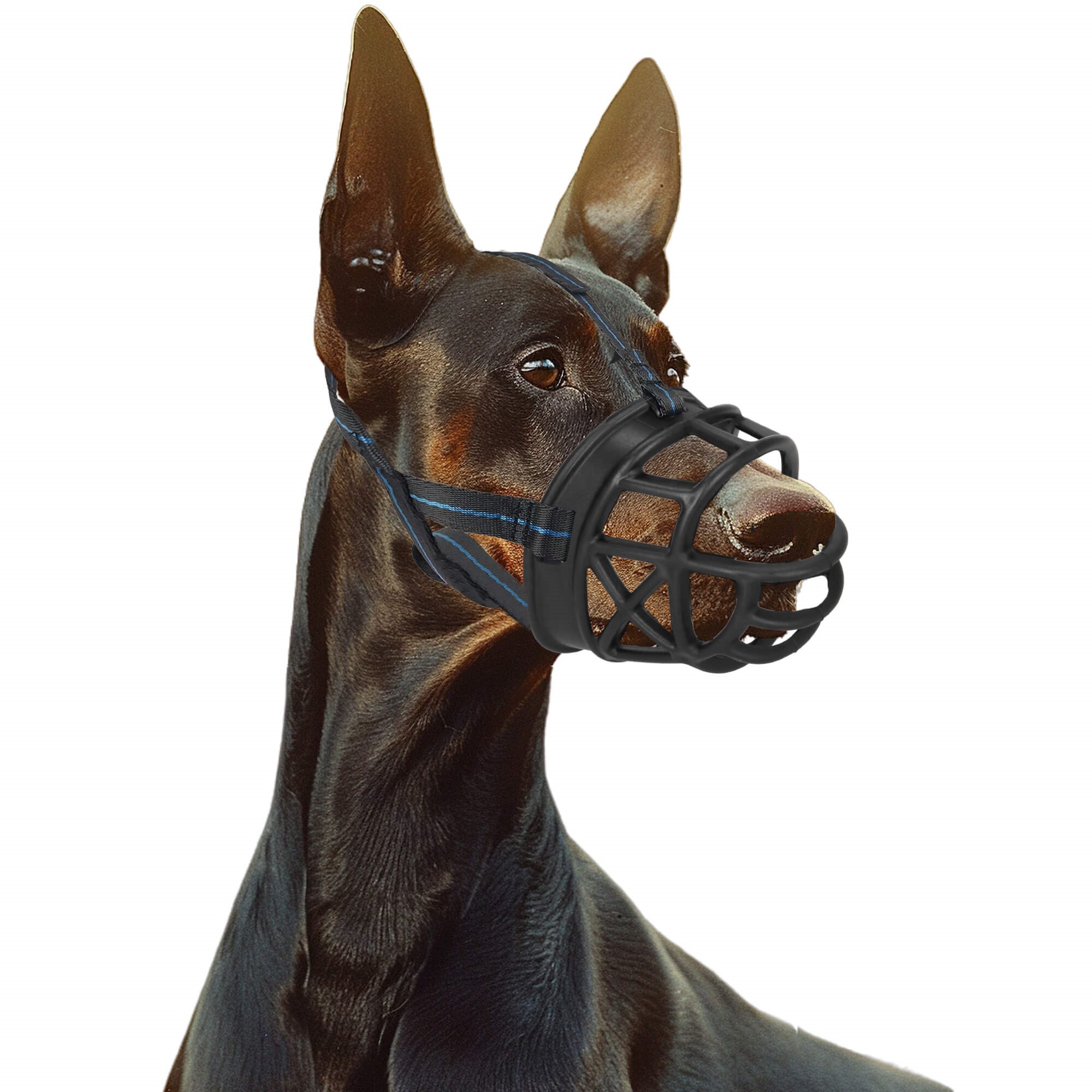 Dog muzzle Springos PA0269 size L | Buy online — Megaluks