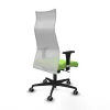 Office Chair Albacete XL Piqueras y Crespo B1C036G Pistachio
