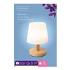 LED Table Lamp Lumineo 894386 Metal 22 cm Rechargeable