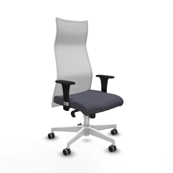 Biuro kėdė Albacete XL Piqueras y Crespo B1C026G