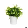 Decorative Plant Plastic Small (6 Units)