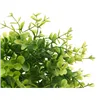 Decorative Plant Plastic Small (6 Units)