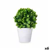 Decorative Plant Plastic (6 Units)