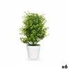 Decorative Plant Plastic Large (6 Units)