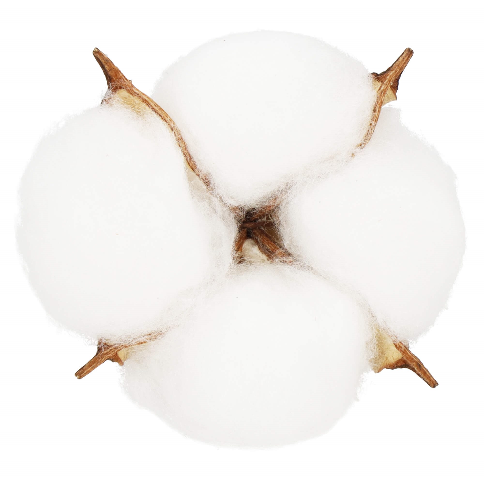 Artificial cotton Springos CA1215 12 pcs, Christmas dec | Buy online — Megaluks