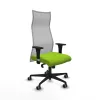 Toimistotuoli Albacete XL Piqueras y Crespo B1C036G Pistaasi