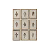 Painting Home ESPRIT Mediterranean Snail 30 x 2,5 x 40 cm (9Units)