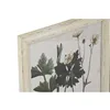 Painting Home ESPRIT Shabby Chic Botanical plants 40 x 1,5 x 50 cm (6 Units)