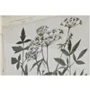 Painting Home ESPRIT Shabby Chic Botanical plants 40 x 1,5 x 50 cm (6 Units)