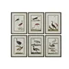 Painting Home ESPRIT Birds Cottage 40 x 2,5 x 54 cm (6 Units)