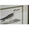 Painting Home ESPRIT Birds Cottage 40 x 2,5 x 54 cm (6 Units)