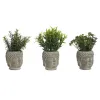 Decorative Plant Home ESPRIT Polyethylene Cement Buddha 10 x 10 x 21 cm (3 Units)