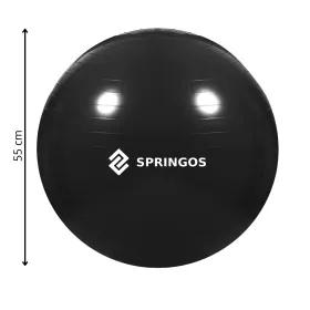 Kuntoilupallo pumpulla Springos FB0013, 55 cm,  | Osta verkosta — Megaluks