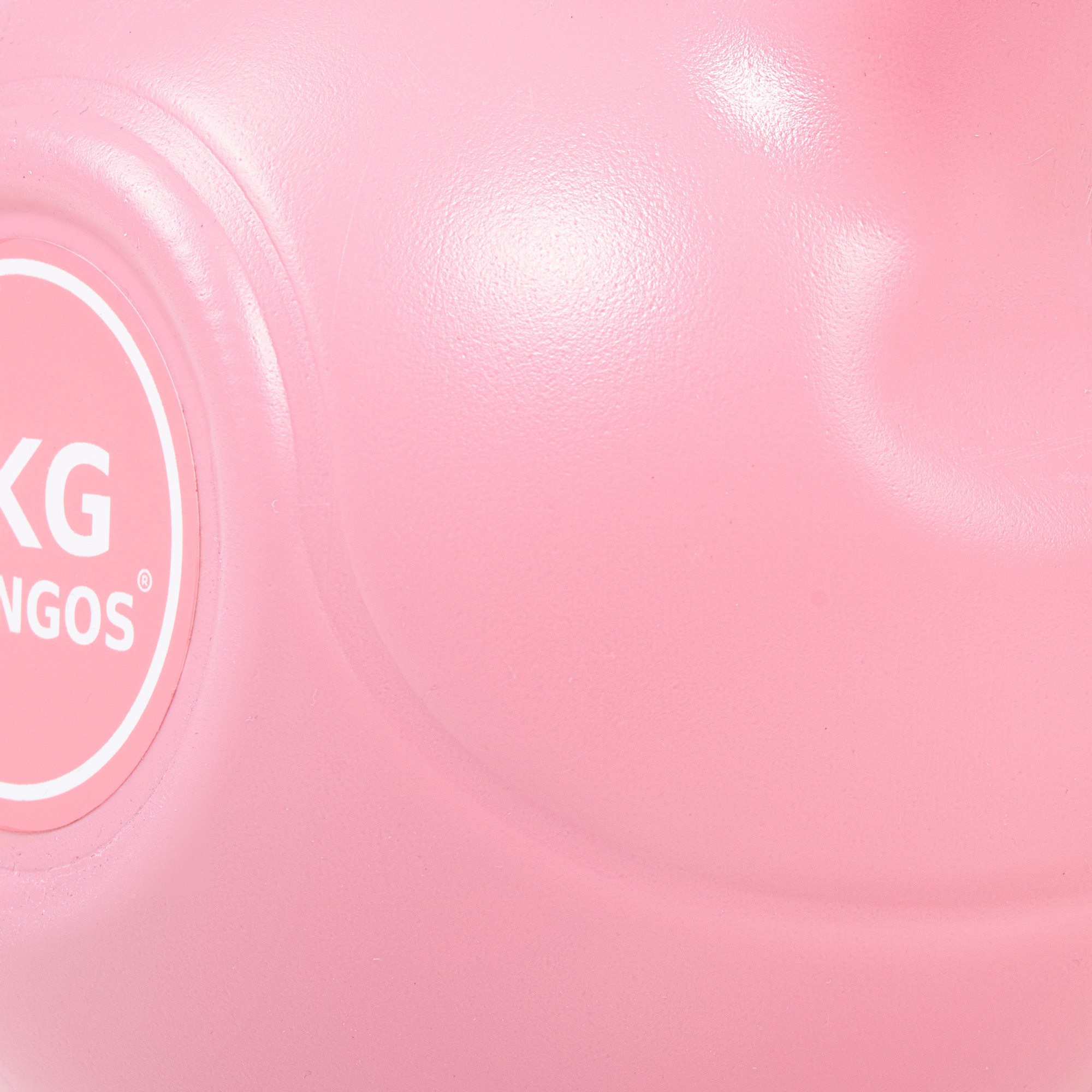 Hantele ABS Springos FA1061, rozā 10kg | Pirkt tiešsaistē — Megaluks