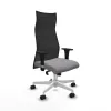 Biroja krēsls Albacete XL Piqueras y Crespo B1C026N Pelēks