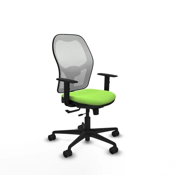 Office Chair Jorquera Piqueras y Crespo 1D036N0 Pistachio
