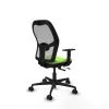 Biroja krēsls Jorquera Piqueras y Crespo 1D036N0 Pistācijas