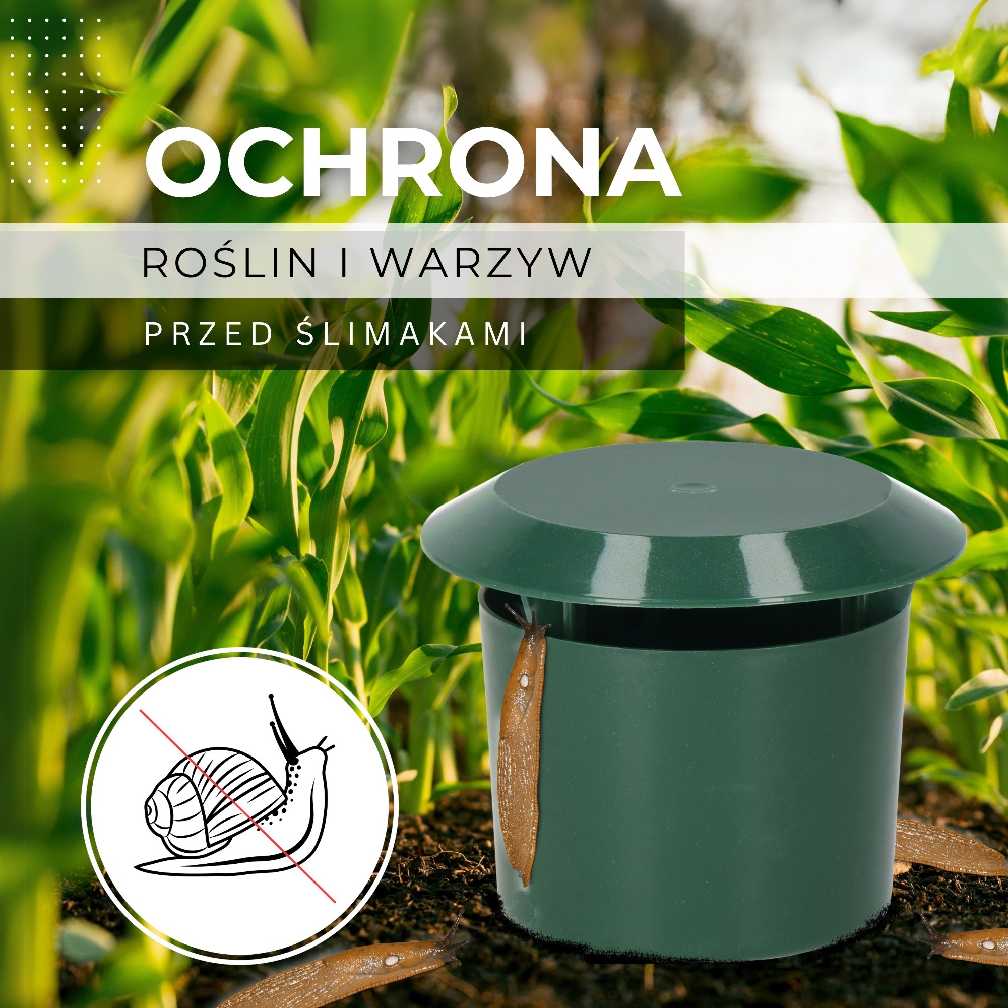 Snail trap 2 pcs. eco-friendly bait catcher for pests