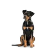 Dog collar Hunter Swiss Brown Black M 55 cm