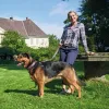 Suņa kaklasiksna Hunter Swiss Brūns Melns M 55 cm