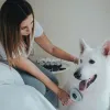 Кардист кисть Hunter Автоуборка