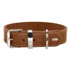Suņa kaklasiksna Hunter Special Cognac Cognac (28-34 cm) (28 - 34 cm)