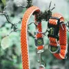 Koera kaelarihm Hunter Basic Niit Oranž Suurus S Orange (30-43 cm)