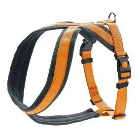 Koera rakmed Hunter London Comfort 39-47 cm Oranž XS/S