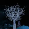 Springos Christmas lights 500 LED